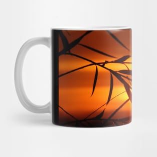 Sunrise Through Willow Mug